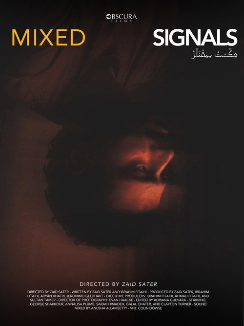 Movie poster for Mixed Signals (2024)
