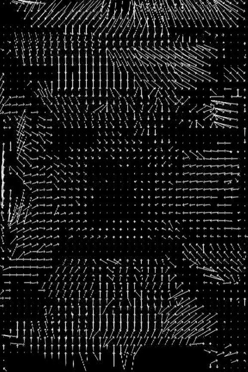 Movie poster for Lossless #4 (2008)