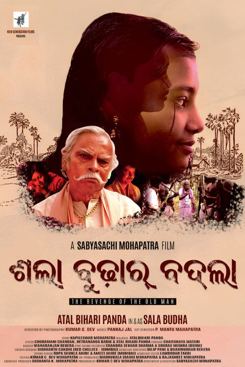 Movie poster for Sala Budhar Badla (2020)
