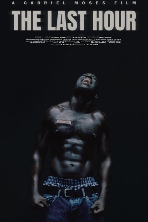 Movie poster for The Last Hour (2025)