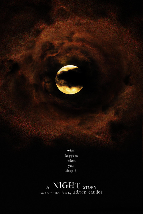 Movie poster for A Night Story (2019)