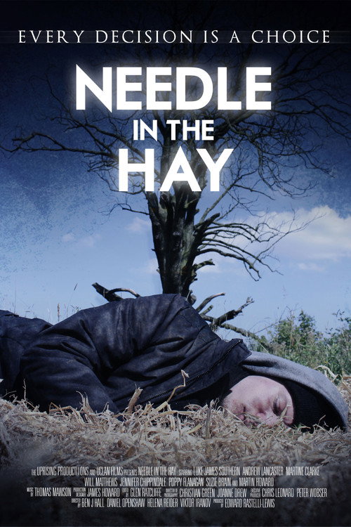 Movie poster for Needle in the Hay (2011)