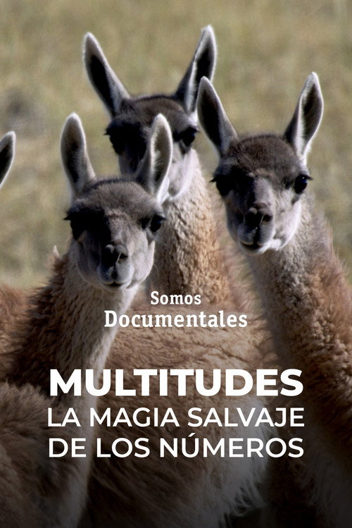 Movie poster for Multitudes: The Power of Numbers (2023)