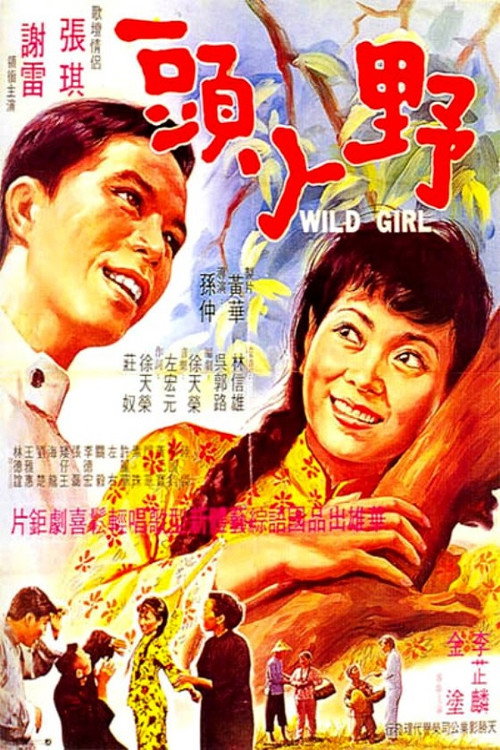 Movie poster for Wild Girl (1969)