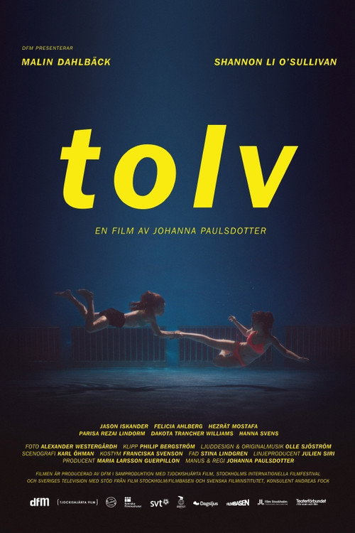 Movie poster for Twelve (2013)