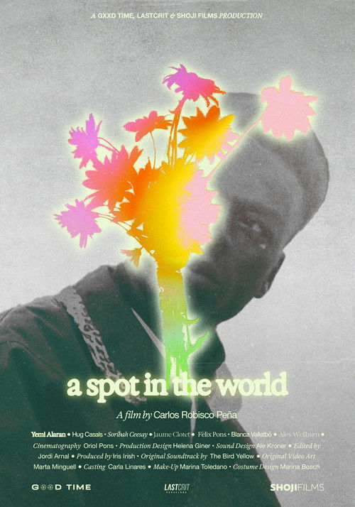 Movie poster for A Spot in the World (2024)