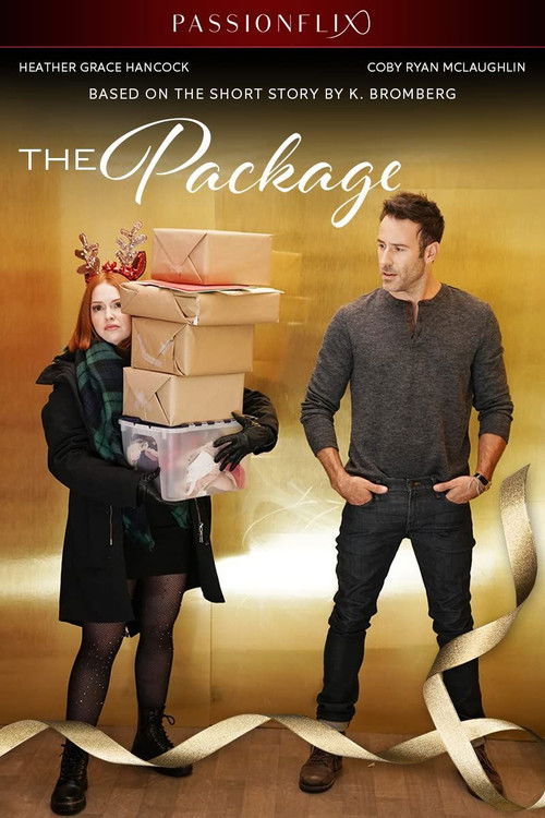 Movie poster for The Package (2020)