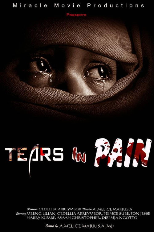 Movie poster for Tears in Pain (2019)