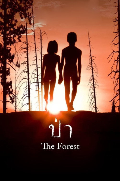 Movie poster for The Forest (2016)