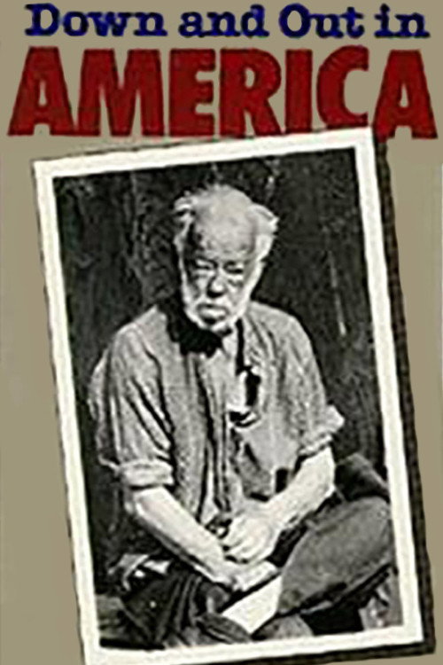 Movie poster for Down and Out in America (1986)
