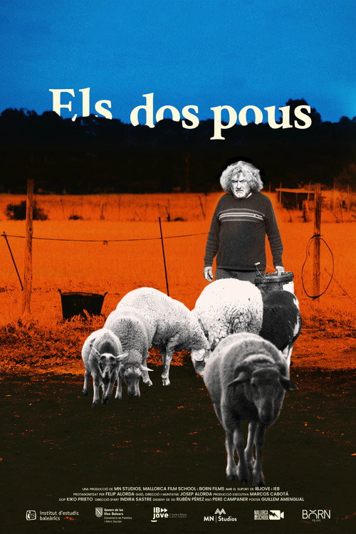 Movie poster for The two wells
