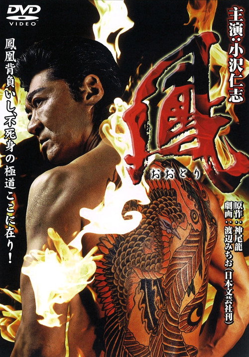 Movie poster for Ootori (2009)