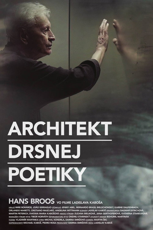 Movie poster for Architect of Brutal Poetry (2021)
