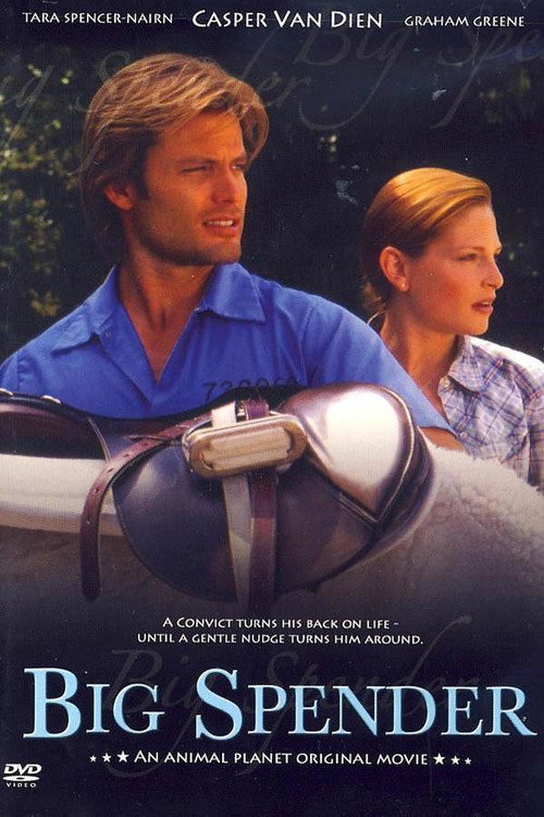 Movie poster for Big Spender (2003)