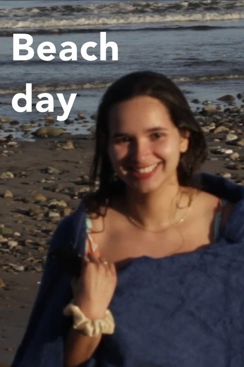 Movie poster for Beach day (2024)