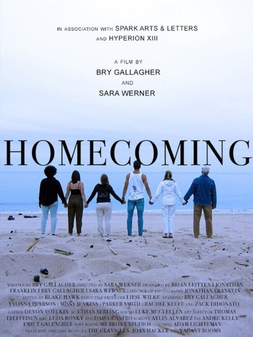 Movie poster for Homecoming