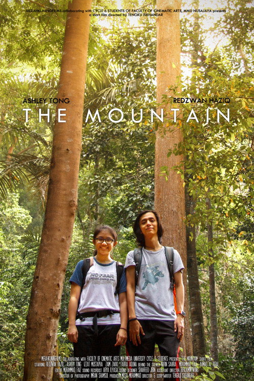Movie poster for The Mountain (2017)