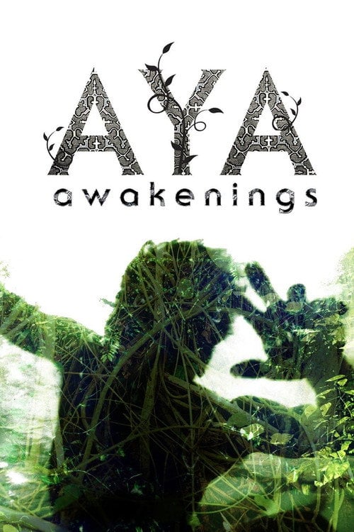 Movie poster for Aya: Awakenings (2013)