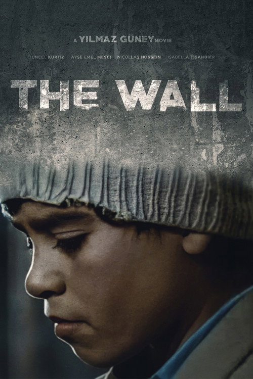 Movie poster for The Wall (1983)