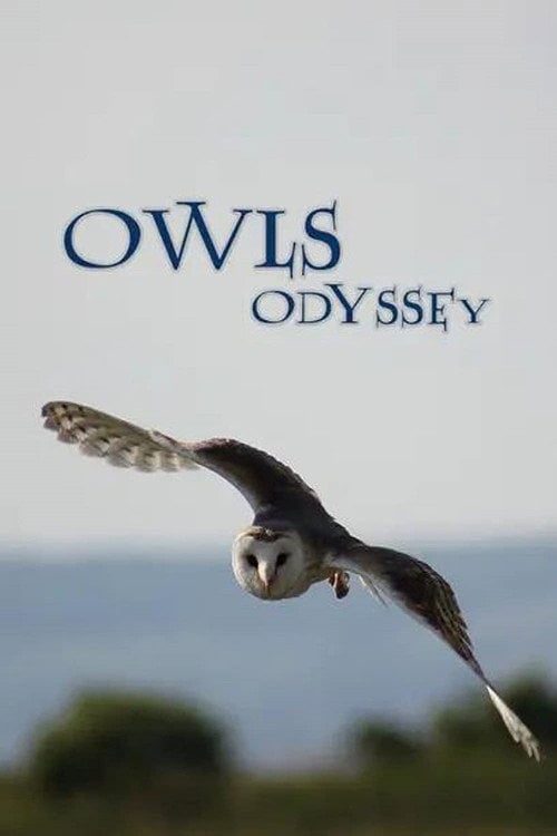 Movie poster for Owl's Odyssey (2013)