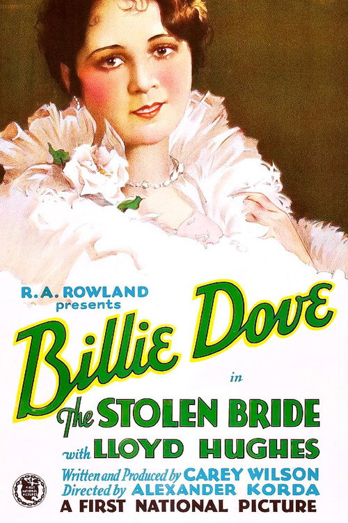 Movie poster for The Stolen Bride (1927)