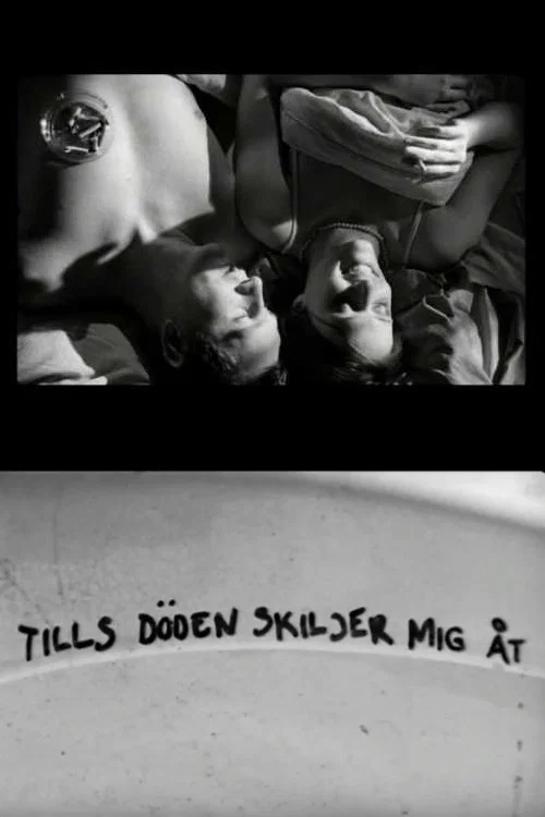 Movie poster for Tills döden skiljer mig åt (2003)