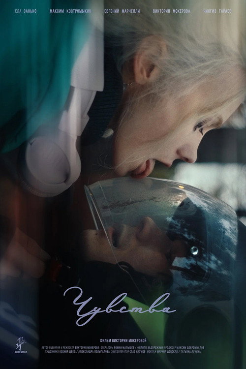 Movie poster for Feelings (2024)