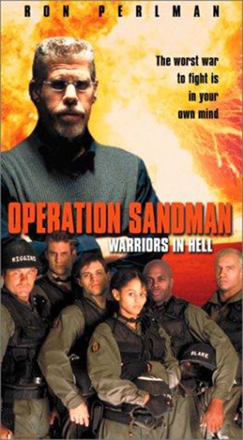 Movie poster for Operation Sandman (2000)