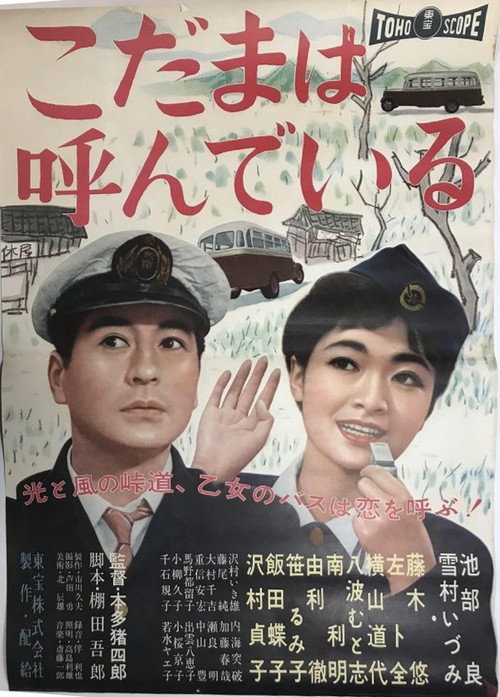 Movie poster for Echo Mountain (1959)
