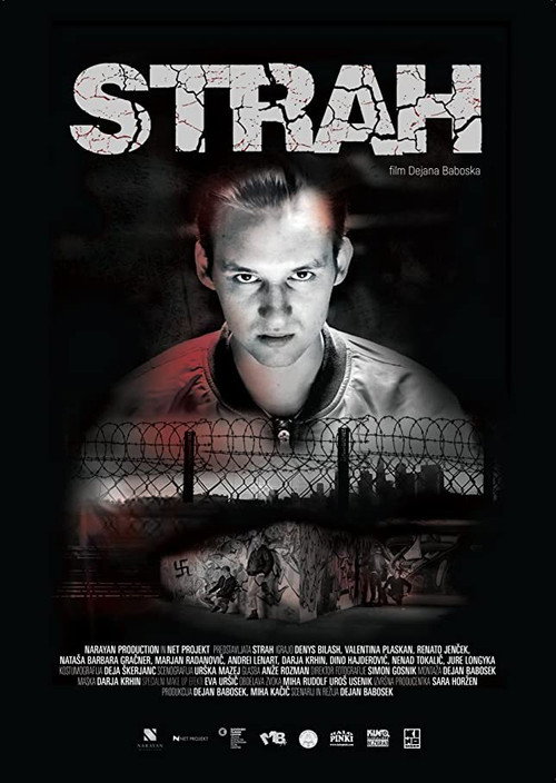 Movie poster for Fear (2016)