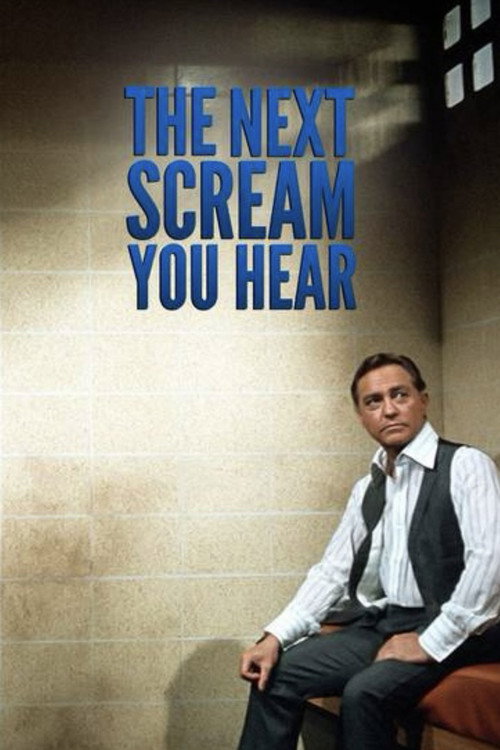 Movie poster for The Next Scream You Hear (1974)
