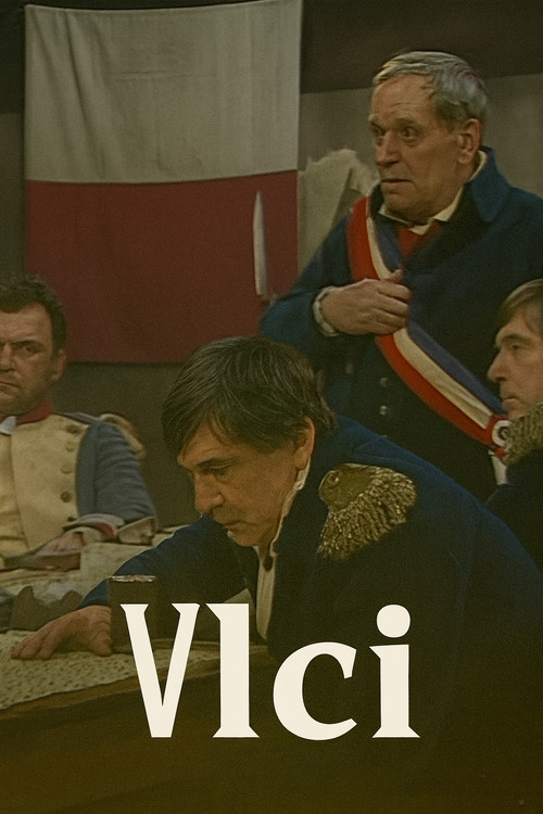 Movie poster for Vlci (1982)