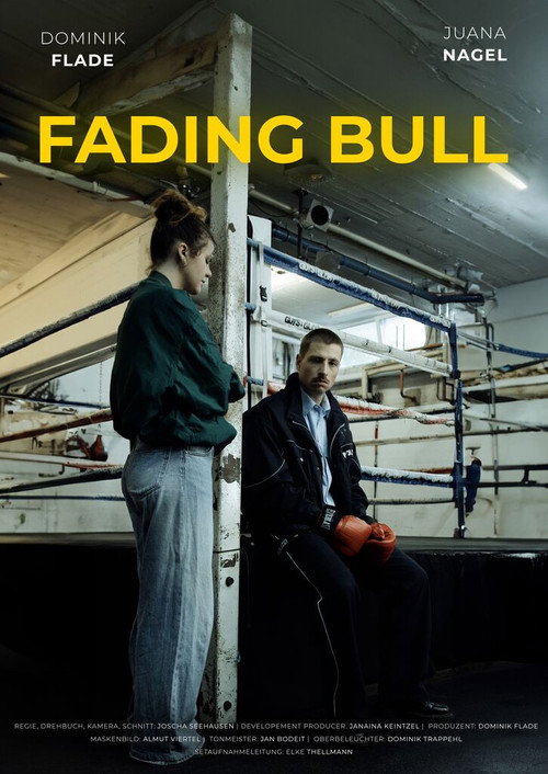 Movie poster for Fading Bull (2024)