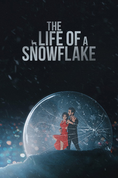 Movie poster for The Life of a Snowflake (2022)
