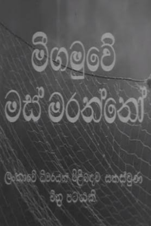 Movie poster for Fishermen of Negombo (1952)