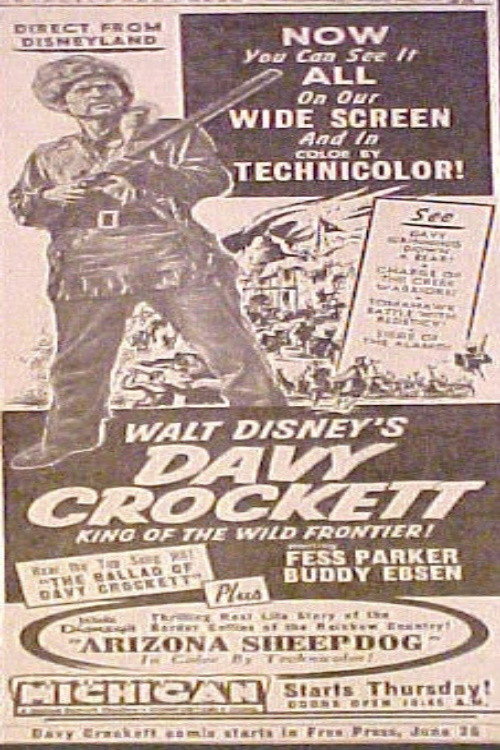 Movie poster for Arizona Sheepdog (1955)