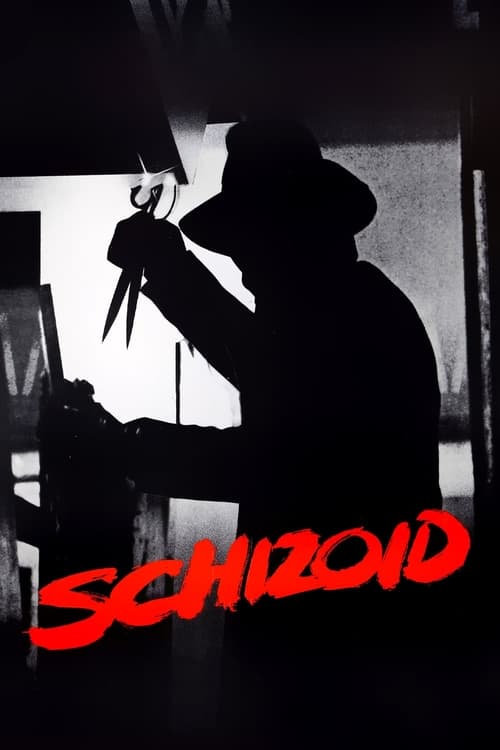 Movie poster for Schizoid (1980)