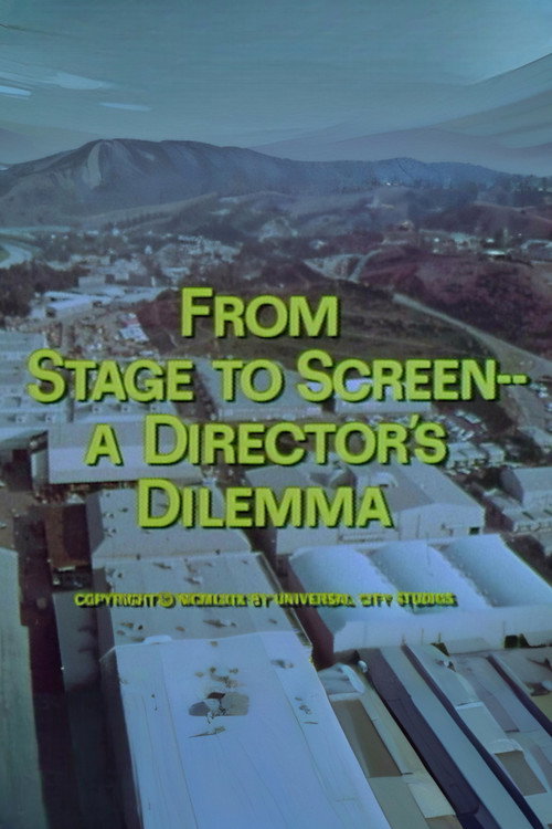Movie poster for From Stage to Screen---A Director's Dilemma (1969)