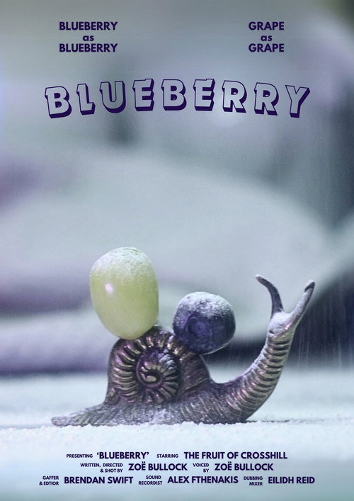 Movie poster for Blueberry