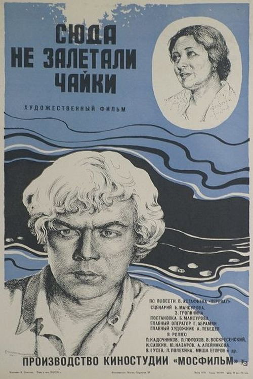 Movie poster for Seagulls Never Fly Here (1978)