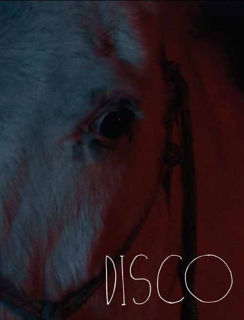 Movie poster for Disco (2026)