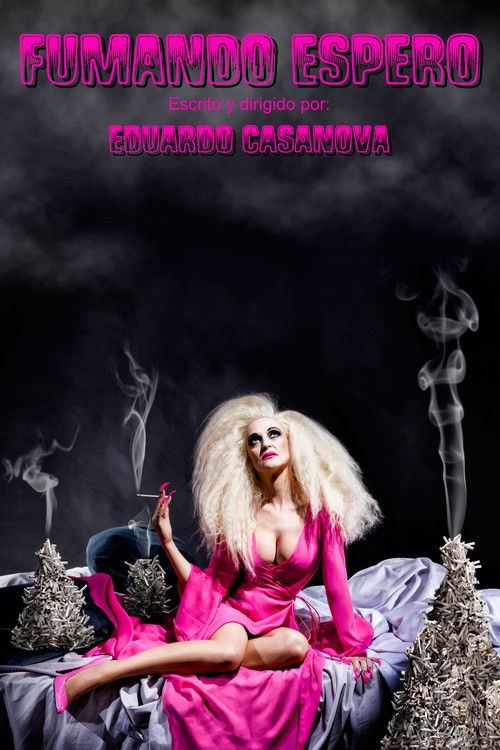 Movie poster for Fumando Espero (2013)