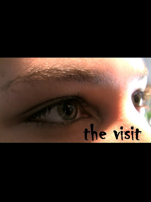 Movie poster for The Visit (2008)