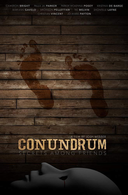 Movie poster for Conundrum: Secrets Among Friends (2023)