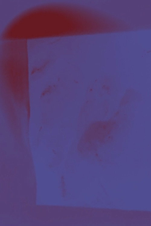Movie poster for Corpus II Home (2021)
