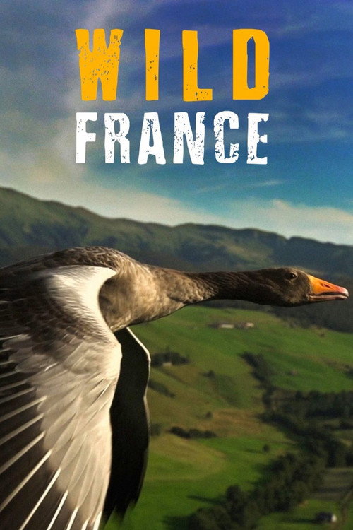 Movie poster for Wild France (2013)