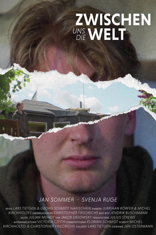 Movie poster for Zwischen uns die Welt