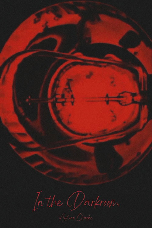 Movie poster for In the Darkroom (2013)