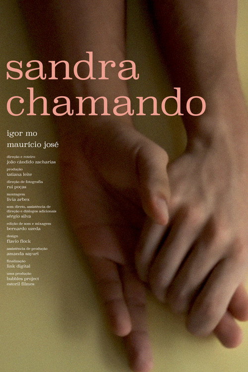 Movie poster for Sandra Calling (2017)