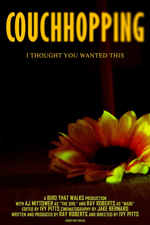 Movie poster for Couchhopping